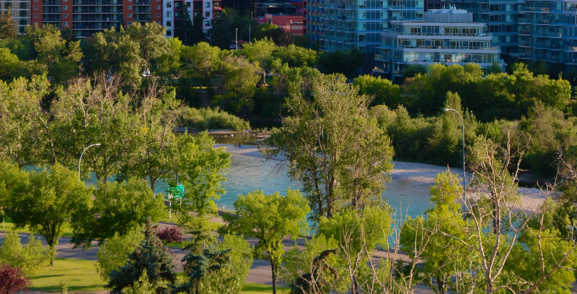 Downtown Calgary skyline above summer trees.
